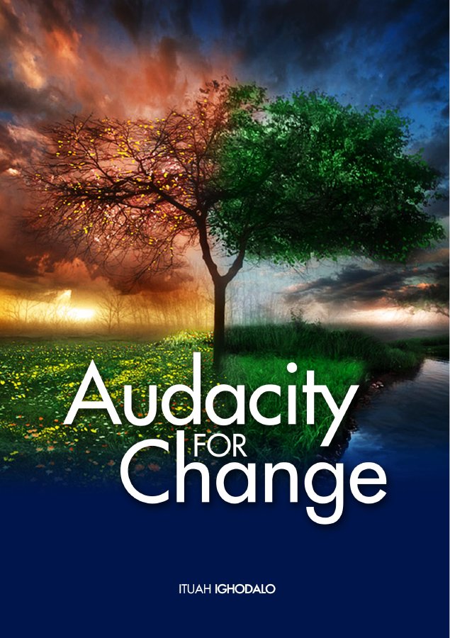 Audacity For Change book cover